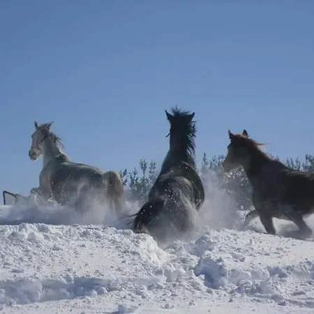 Ljudina * Kupres (Canton 10)