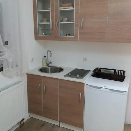 Ljudina Apartament